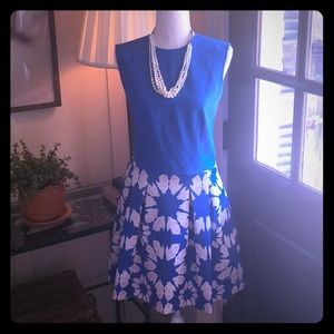 Alice + Olivia blue and white skirt-size 8.